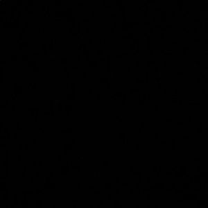 Meet your Posher, Hampton